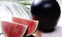 实时黑料曝光 吃瓜网每日大赛,吃瓜网每日大赛，实时黑料曝光大揭秘！