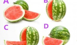 52每日大瓜视频